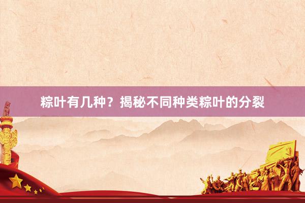 粽叶有几种？揭秘不同种类粽叶的分裂